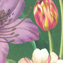XL Springtime Flowers on Green Italian Paper ~ Kartos Italy